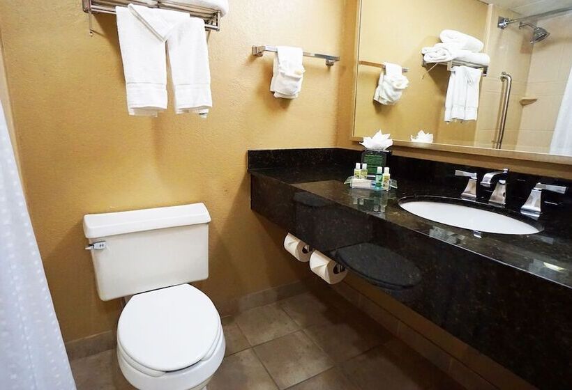 اتاق استاندارد با 2 تخت دوبل, Holiday Inn Corpus Christi Downtown Marina, An Ihg