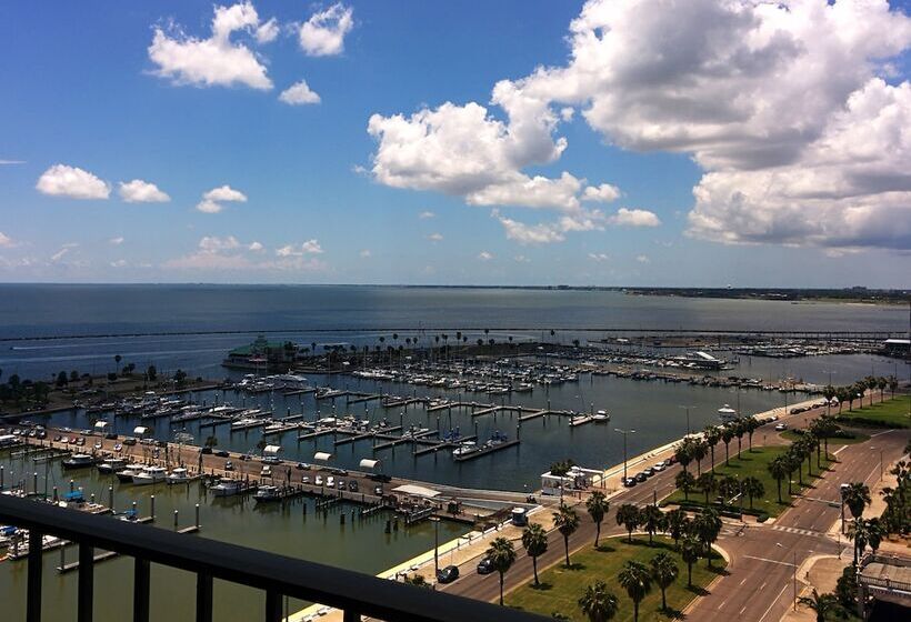 اتاق استاندارد با تخت دوبل و چشم‌انداز, Holiday Inn Corpus Christi Downtown Marina, An Ihg