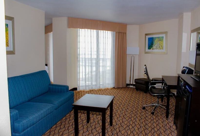 اتاق استاندارد با تخت دوبل و چشم‌انداز, Holiday Inn Corpus Christi Downtown Marina, An Ihg
