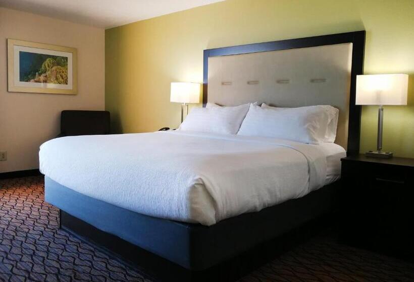 اتاق استاندارد با تخت بزرگ, Holiday Inn Corpus Christi Downtown Marina, An Ihg