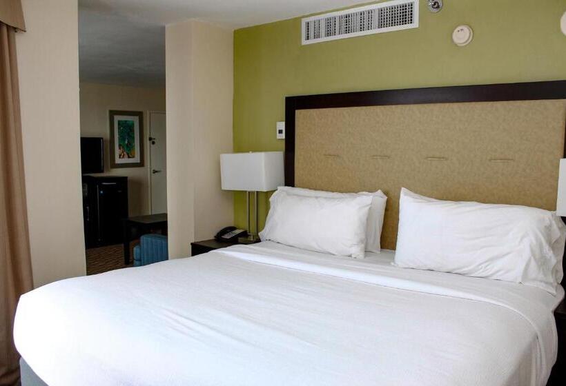 اتاق سوپریور با تخت بزرگ, Holiday Inn Corpus Christi Downtown Marina, An Ihg