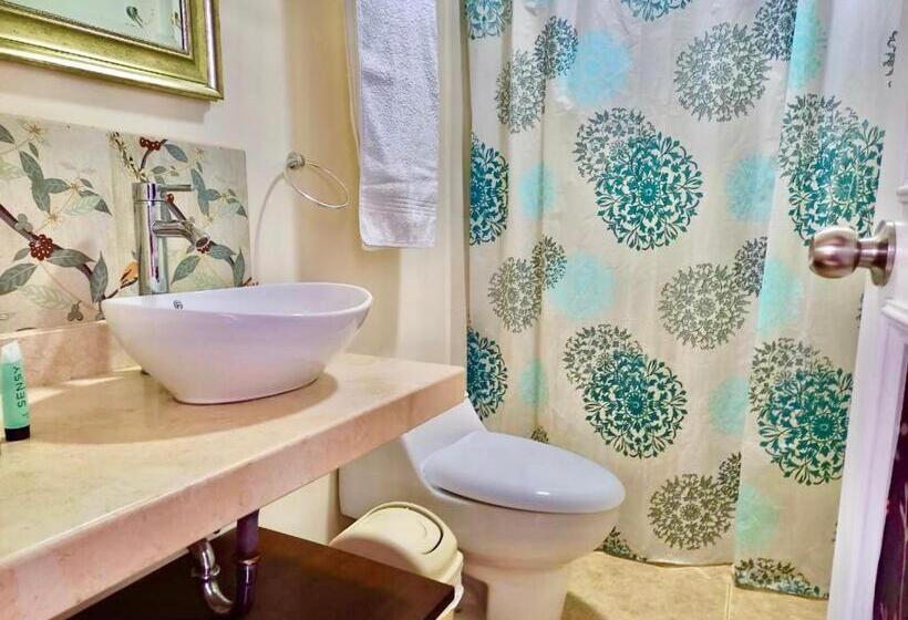 Номер Стандарт, Casa Motta