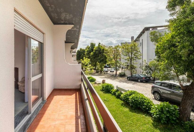 Номер Стандарт, Colmeia