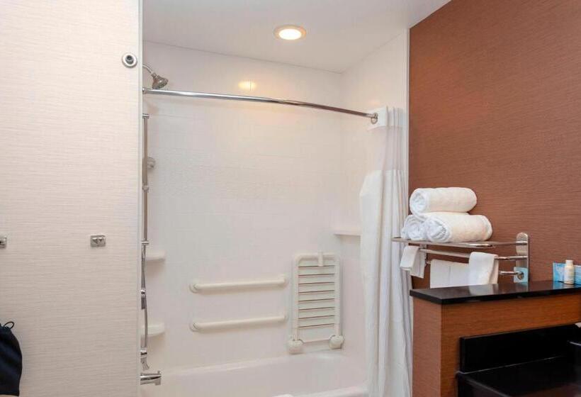 スタンダードルーム, Fairfield Inn & Suites By Marriott Alamosa