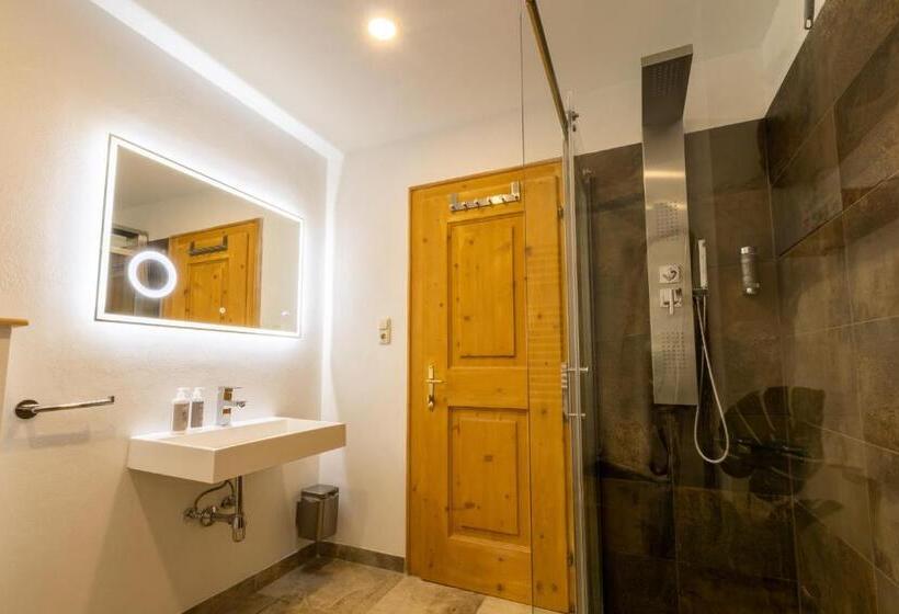 Апартаменты 1 Спальня с Террасой, Monte Vita Tirol   Apartments