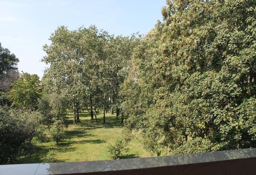 سوئیت جونیور خانوادگی, Nonstop