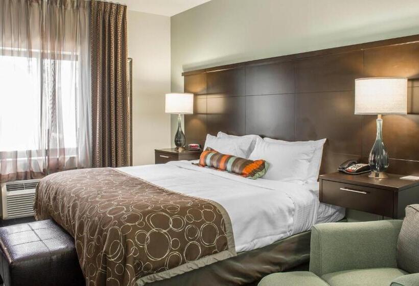 适合残疾人士使用的套间, Staybridge Suites North Jacksonville, An Ihg