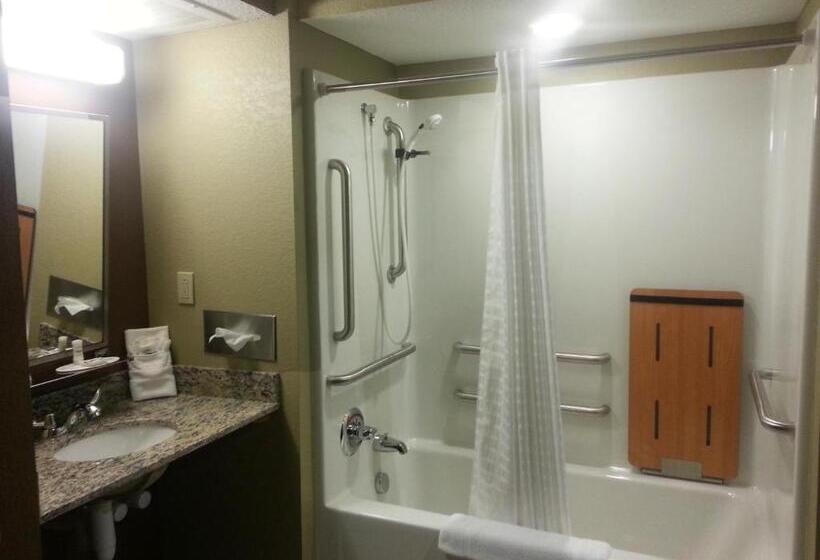 장애인을 위한 스탠다드 룸, Microtel Inn And Suites Carrollton