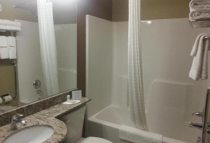 스위트, Microtel Inn And Suites Carrollton