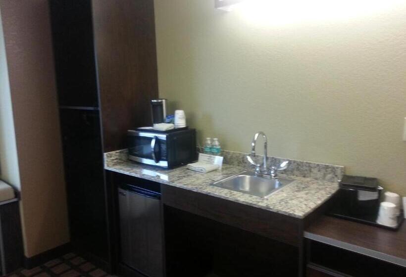 디럭스 스위트, Microtel Inn And Suites Carrollton