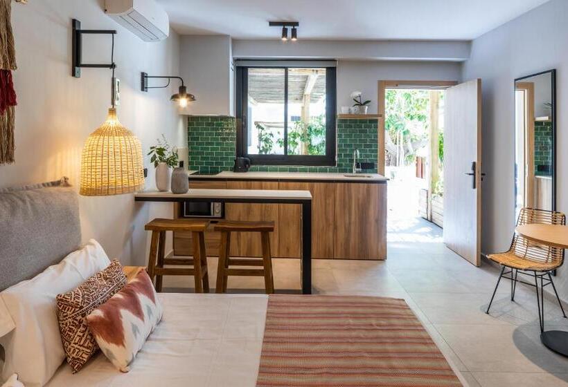 استودیو استاندارد با تراس, Aparthotel Casita Blanca   Adults Only 3sup
