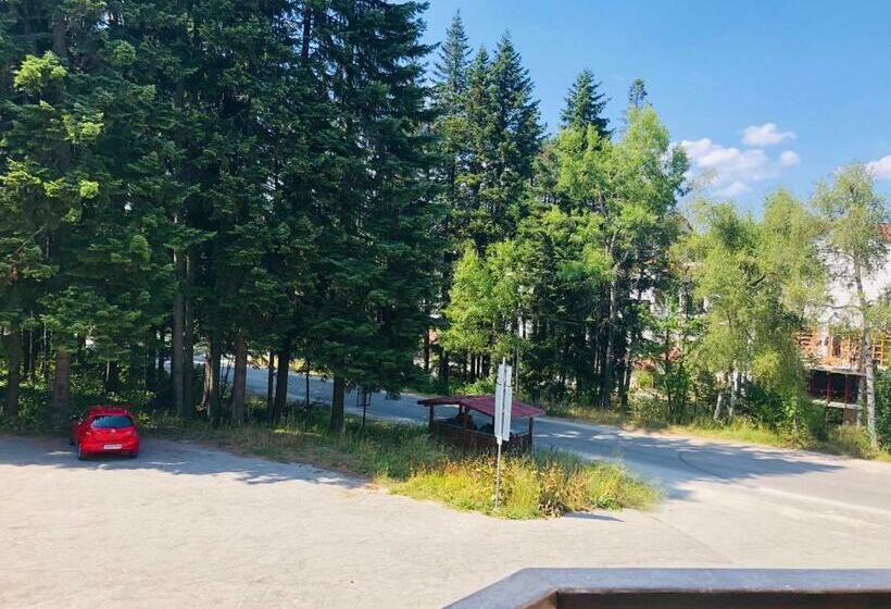 استودیوی استاندارد, Studio Villa Park Premium
