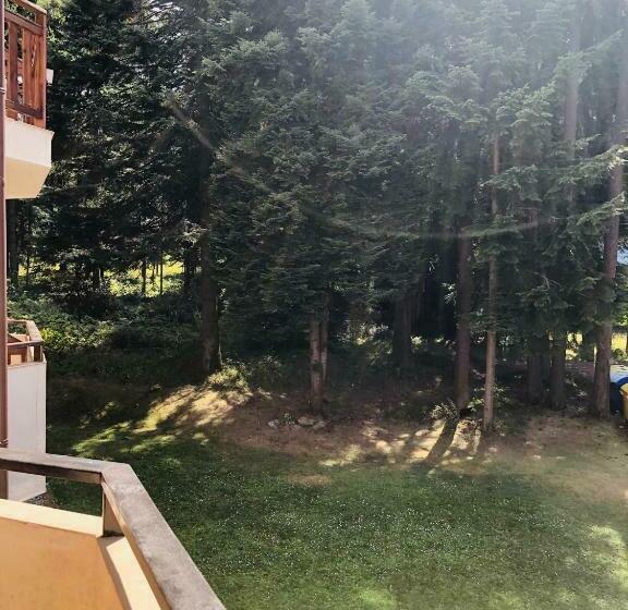 استودیوی استاندارد, Studio Villa Park Premium