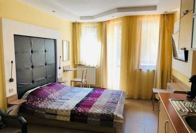 استودیوی استاندارد, Studio Villa Park Premium