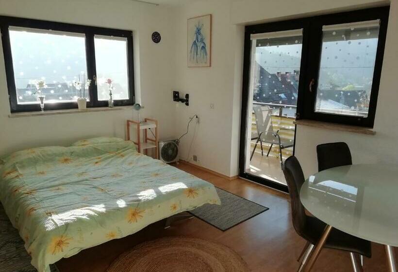اتاق خانوادگی با چشم‌انداز کوه, Room Panorama