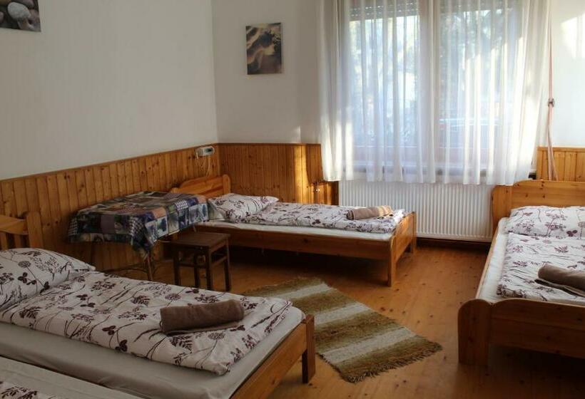 آپارتمان 1 خوابه همکف, Vicze Apartmanház