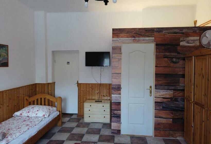 آپارتمان 1 خوابه همکف, Vicze Apartmanház