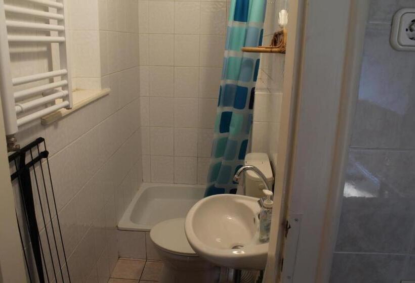 اتاق استاندارد با تراس, Vicze Apartmanház