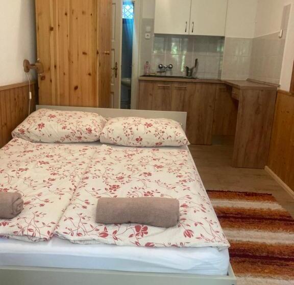 اتاق استاندارد با تراس, Vicze Apartmanház