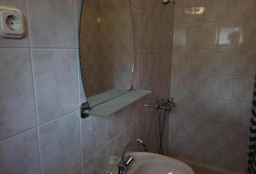 اتاق استاندارد با چشم‌انداز باغ, Vicze Apartmanház