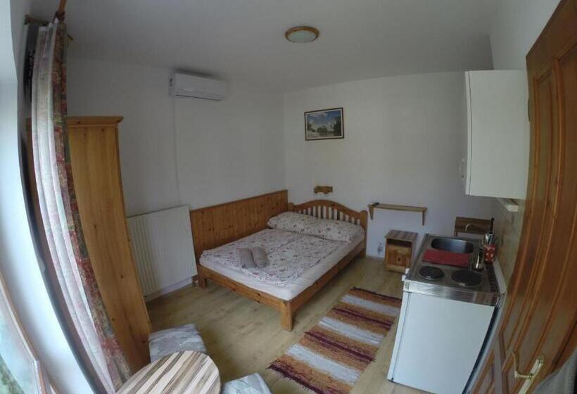 آپارتمان 2 خوابه, Vicze Apartmanház