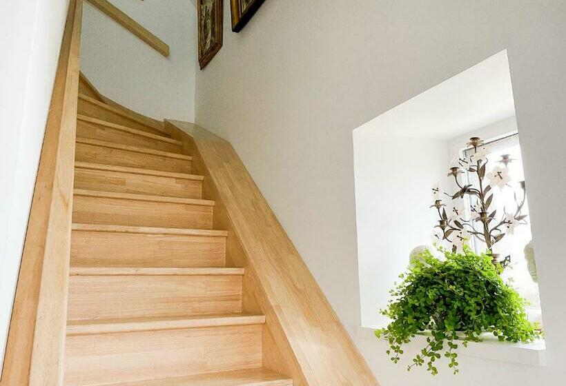 استودیوی استاندارد با چشم‌انداز دریا, Chambre Appartement