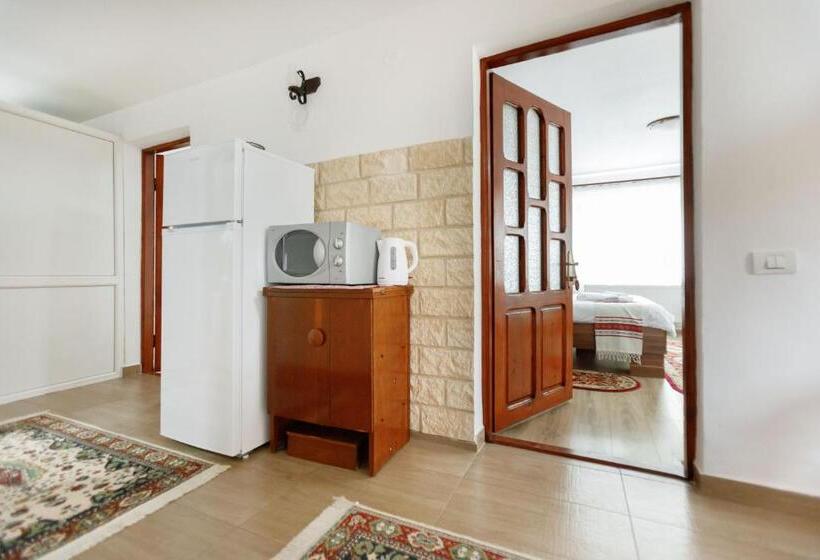 Апартаменты 2 Спальни, Casa Dacică