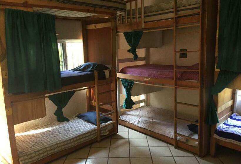 سرير فى غرفة مشتركه, Ekko Hostel