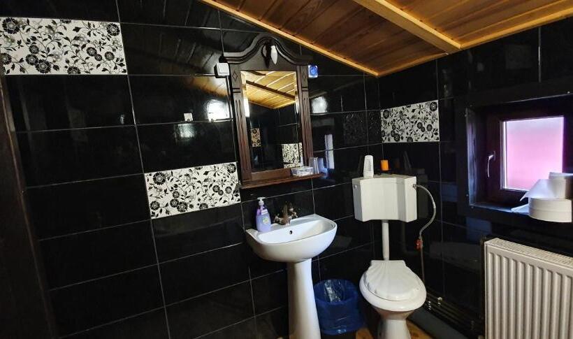 Suite with Terrace, Pensiunea Orhideea