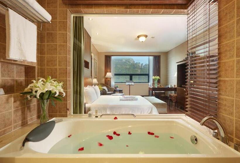 اتاق لوکس با تخت بزرگ, C&d Resort,wuyi Mountain