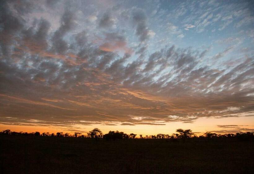 اتاق استاندارد, Four Seasons Safari Lodge Serengeti