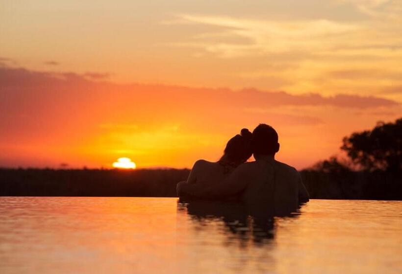 سوئیت با تخت بزرگ, Four Seasons Safari Lodge Serengeti