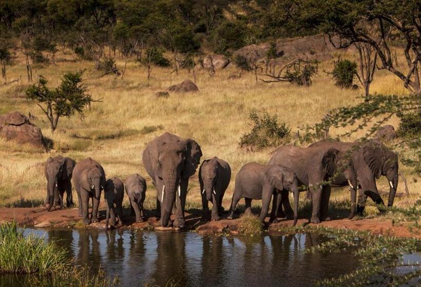 سوئیت با تخت بزرگ, Four Seasons Safari Lodge Serengeti