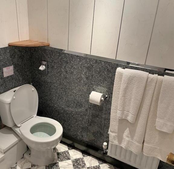 اتاق استاندارد برای معلولان, Bron Menai Guest House