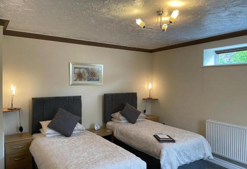 اتاق استاندارد برای معلولان, Bron Menai Guest House