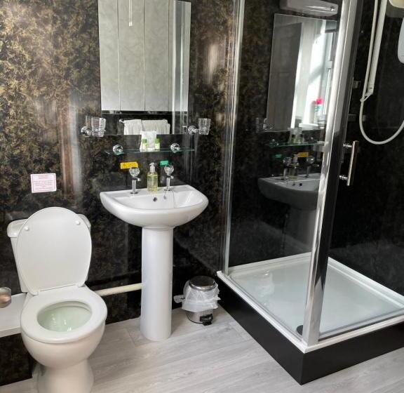اتاق سوپریور, Bron Menai Guest House