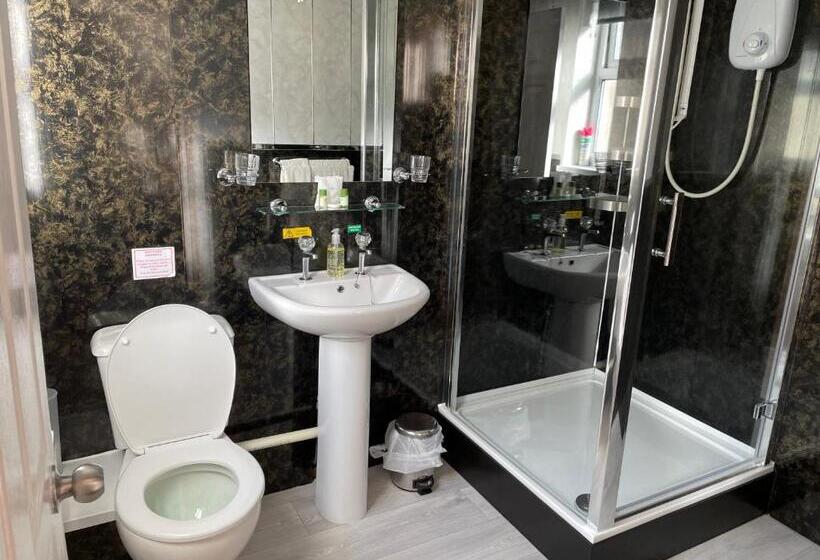اتاق سوپریور, Bron Menai Guest House