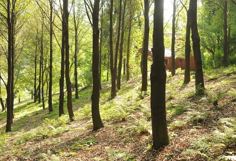 کلبه ییلاقی, Ekosamotnia Eco Dream Pension