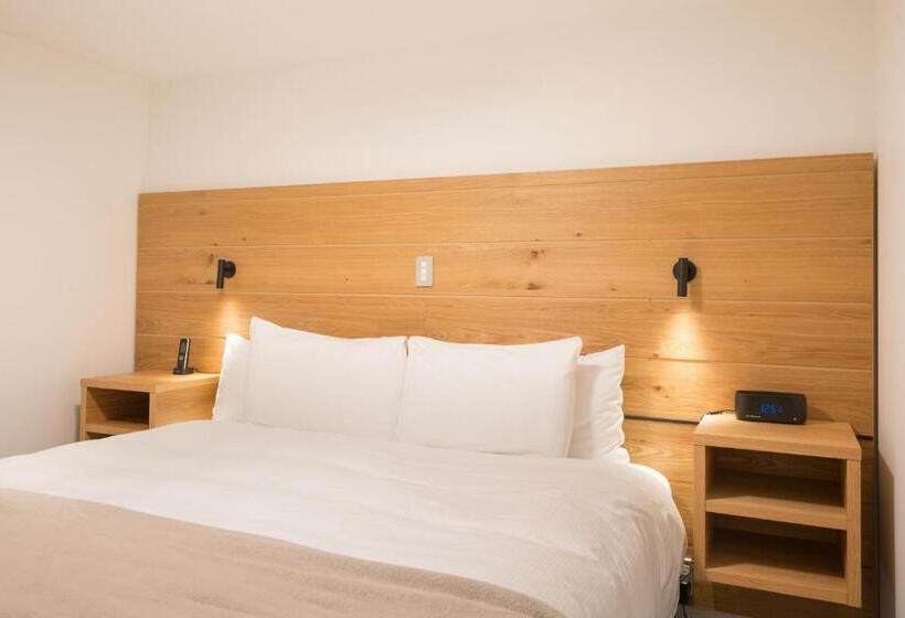 Standard studio with lake view, Lomond Lodge Motel & Apartments