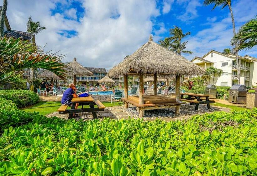 스탠다드 스튜디오, Islander On The Beach 361