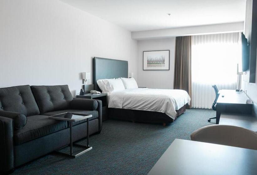 سوئیت با تخت بزرگ, Holiday Inn Express Hotel & Suites Hermosillo, An Ihg