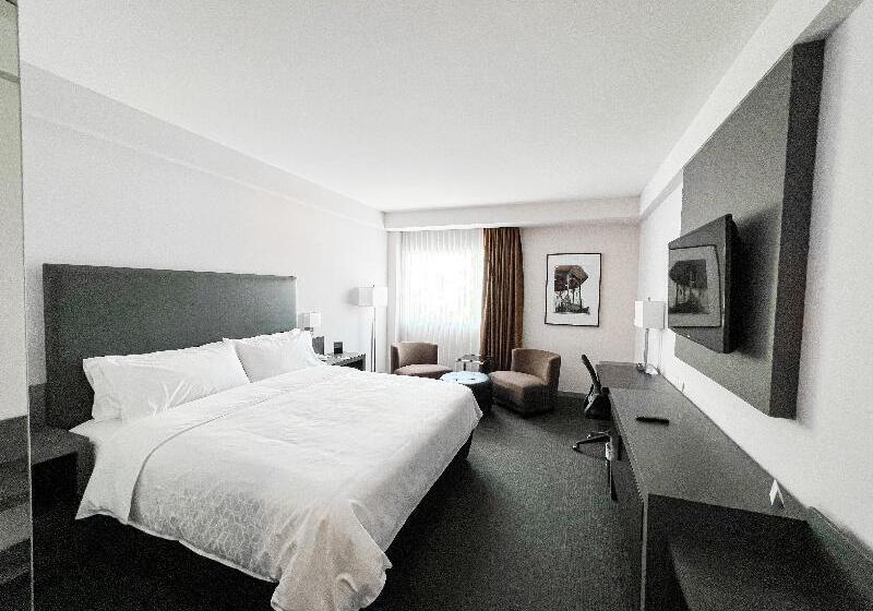 اتاق استاندارد با تخت بزرگ, Holiday Inn Express Hotel & Suites Hermosillo, An Ihg
