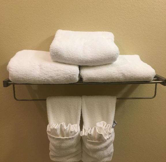 스탠다드 룸, Best Western Plus Patterson Park Inn