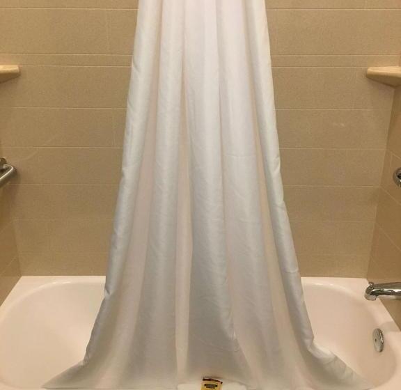 스탠다드 룸 킹사이즈 침대, Best Western Plus Patterson Park Inn