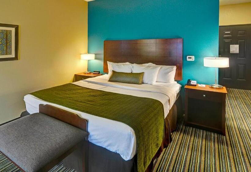 스위트 킹사이즈 침대, Best Western Plus Patterson Park Inn