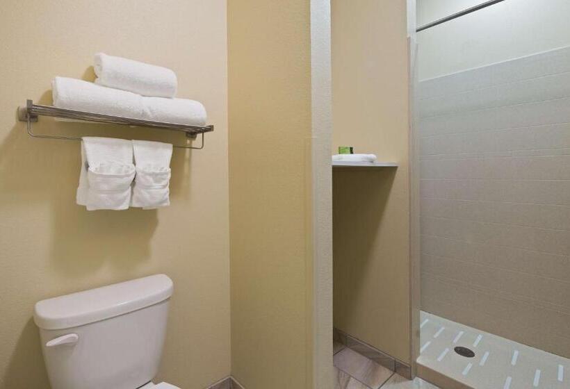 스탠다드 룸 킹사이즈 침대, Best Western Plus Patterson Park Inn