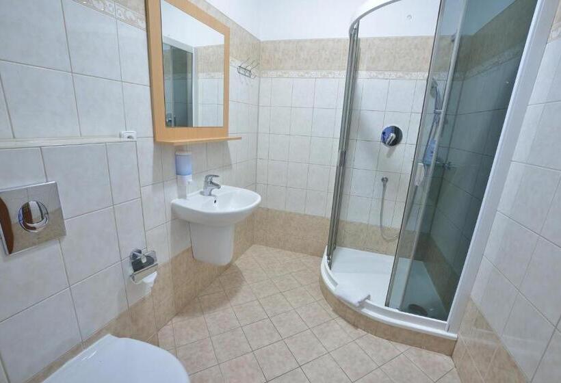 غرفة قياسية فردية, Penzion Best