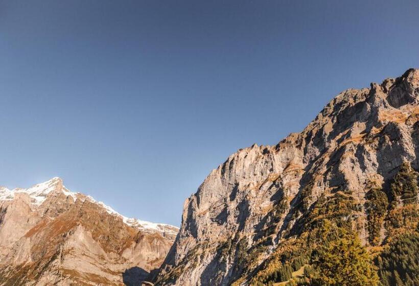 Standardzimmer Bergblick, Fiescherblick