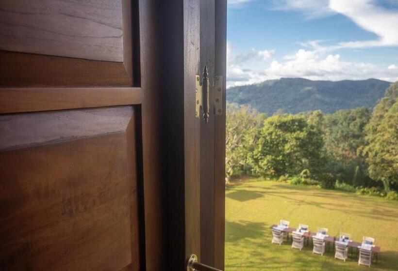 اتاق سوپریور با تخت بزرگ, Dendrobium House Near Kandy