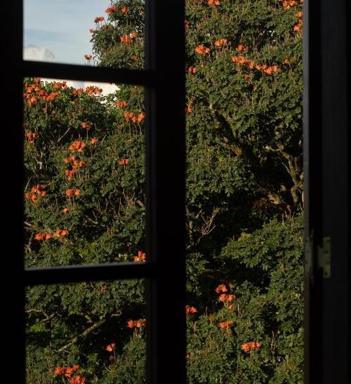 اتاق سوپریور با تخت بزرگ, Dendrobium House Near Kandy
